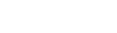 Bonn Consulting Group